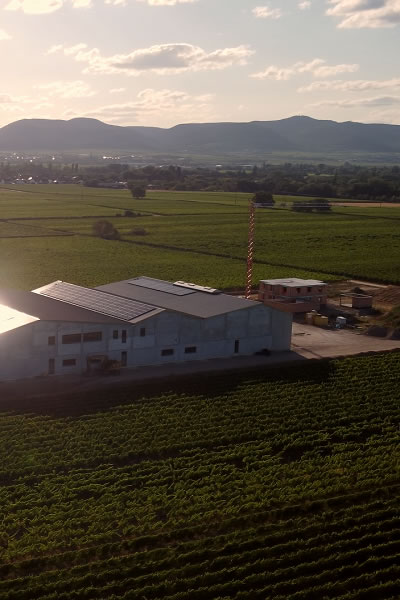 Progetto di generazione di energia fotovoltaica per un’azienda vinicola in Germania