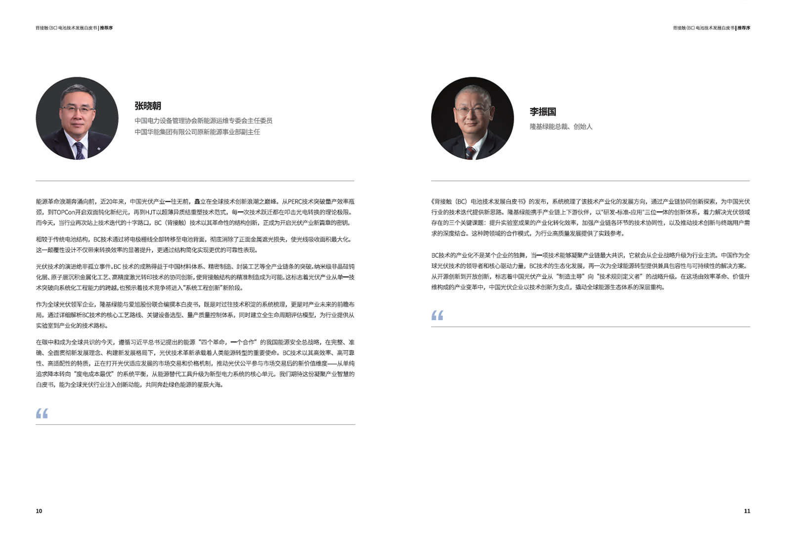 背接触（BC）电池手艺生长白皮书